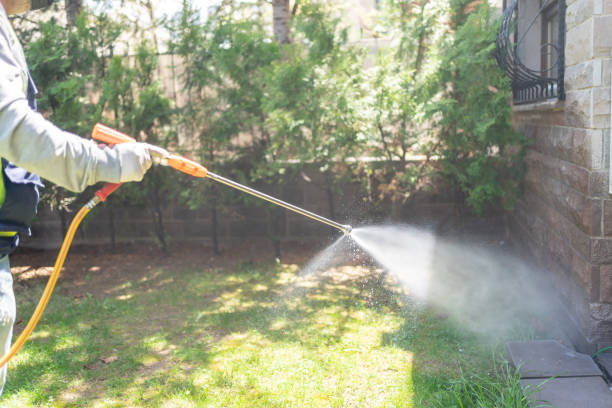 Pest Prevention Services in Harwood Heights, IL